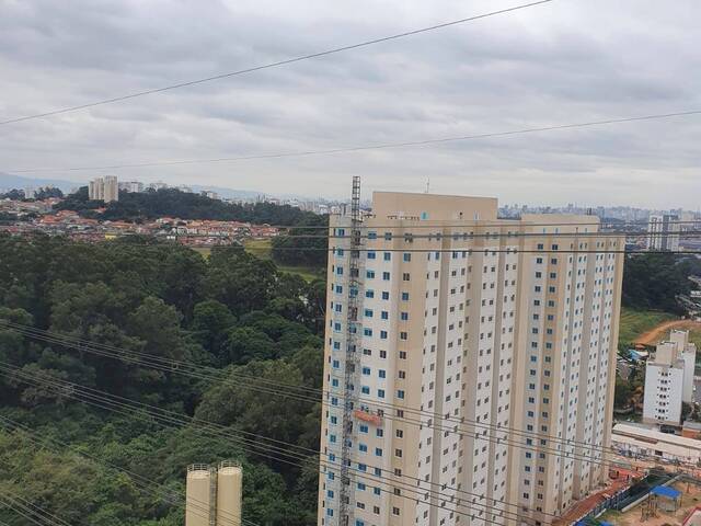 Locação em Jardim Celeste - São Paulo