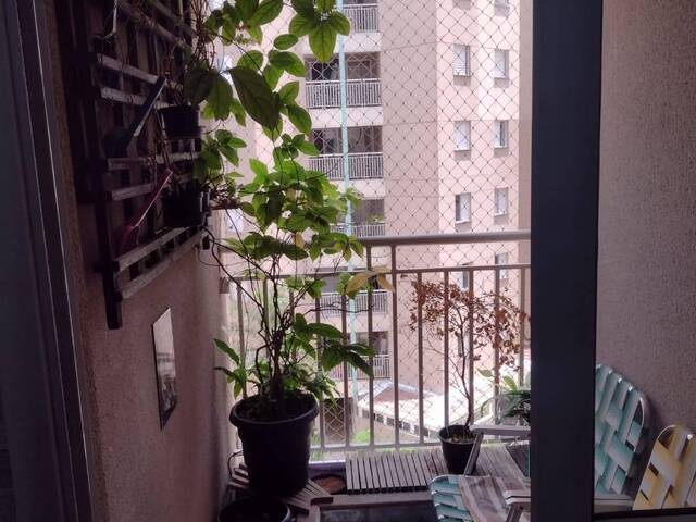 Apartamento para Venda em Taboão da Serra - 5