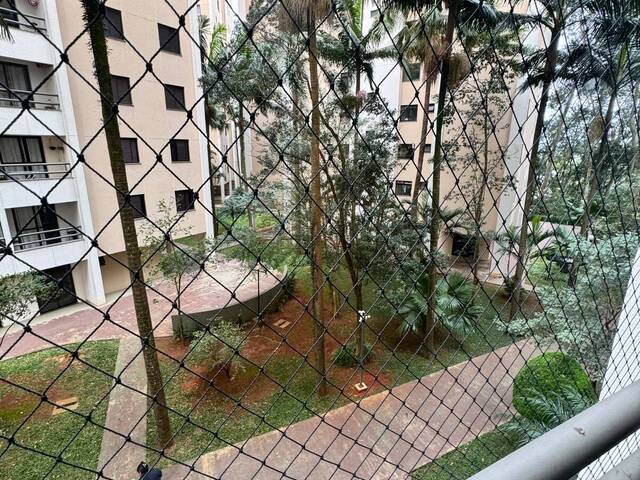 Apartamento para Locação em Taboão da Serra - 5