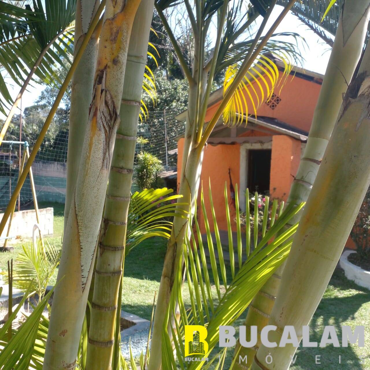 Chácara à venda com 6 quartos, 1700m² - Foto 23