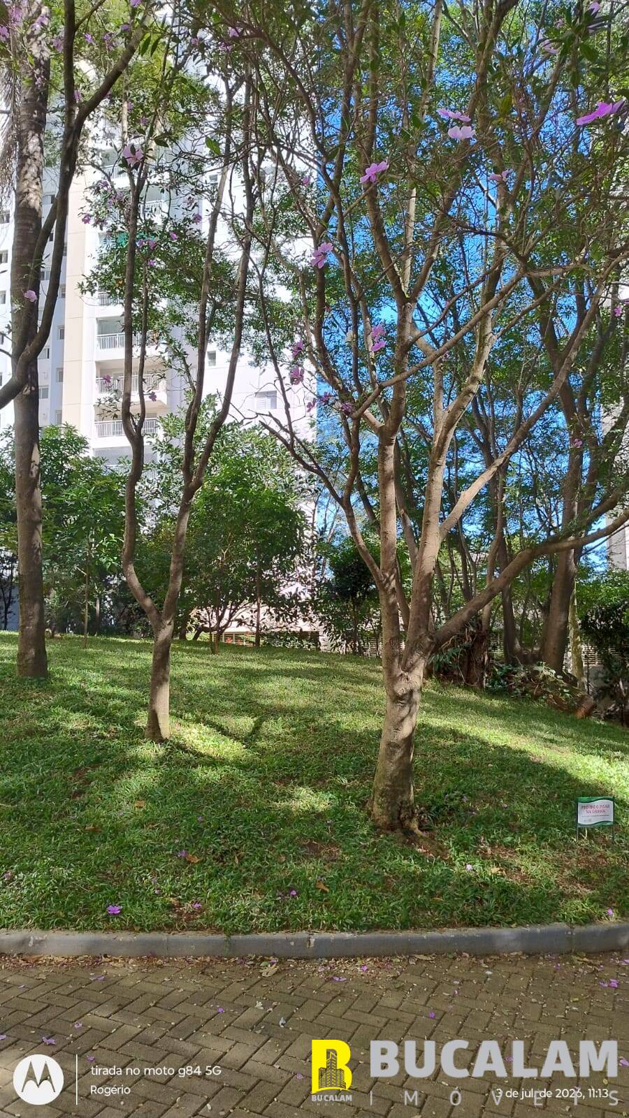 Apartamento, 3 quartos, 96 m² - Foto 49